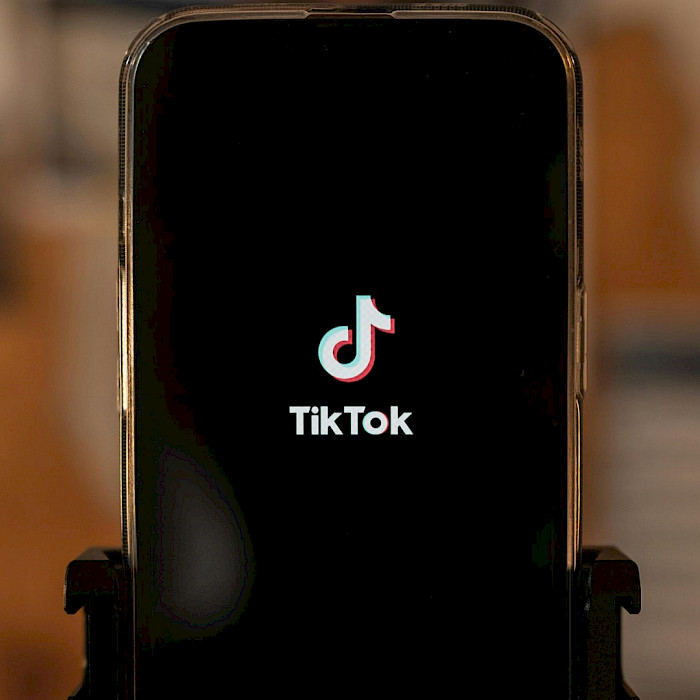 Pourquoi les marques observent de très près Netflix et Tiktok?